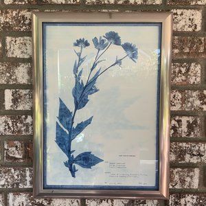 Blue and White Modern Classic Botanical Flower Framed Wall Art Desert Sunflower